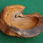 Teak Root Bowl