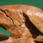 Teak Root Bench Extra Large